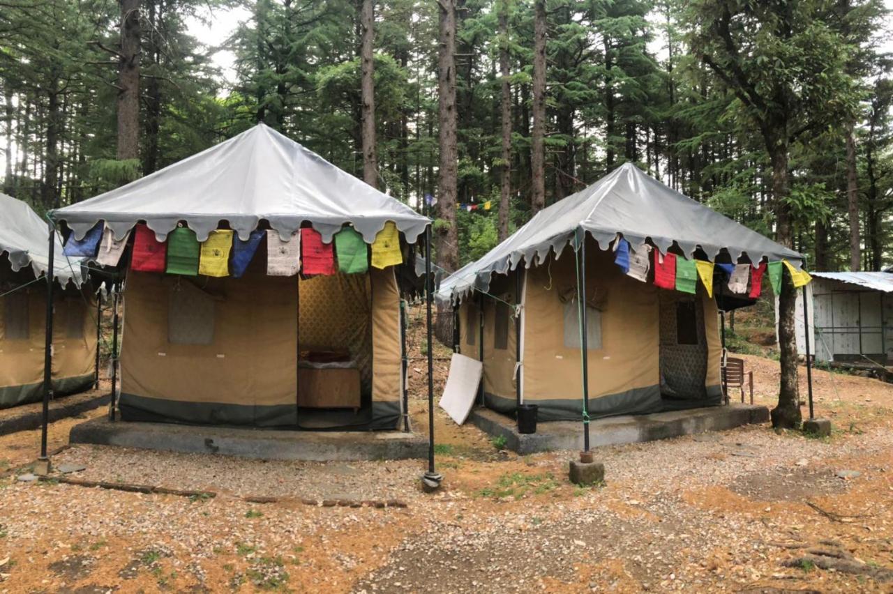 Himtrek Stays,Mcleodganj 麦罗肯机 外观 照片
