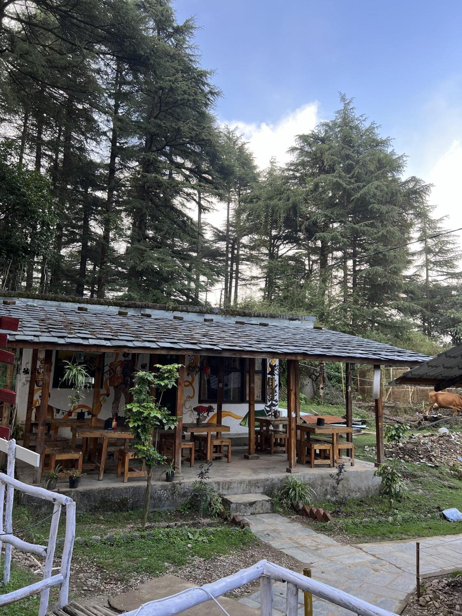 Himtrek Stays,Mcleodganj 麦罗肯机 外观 照片