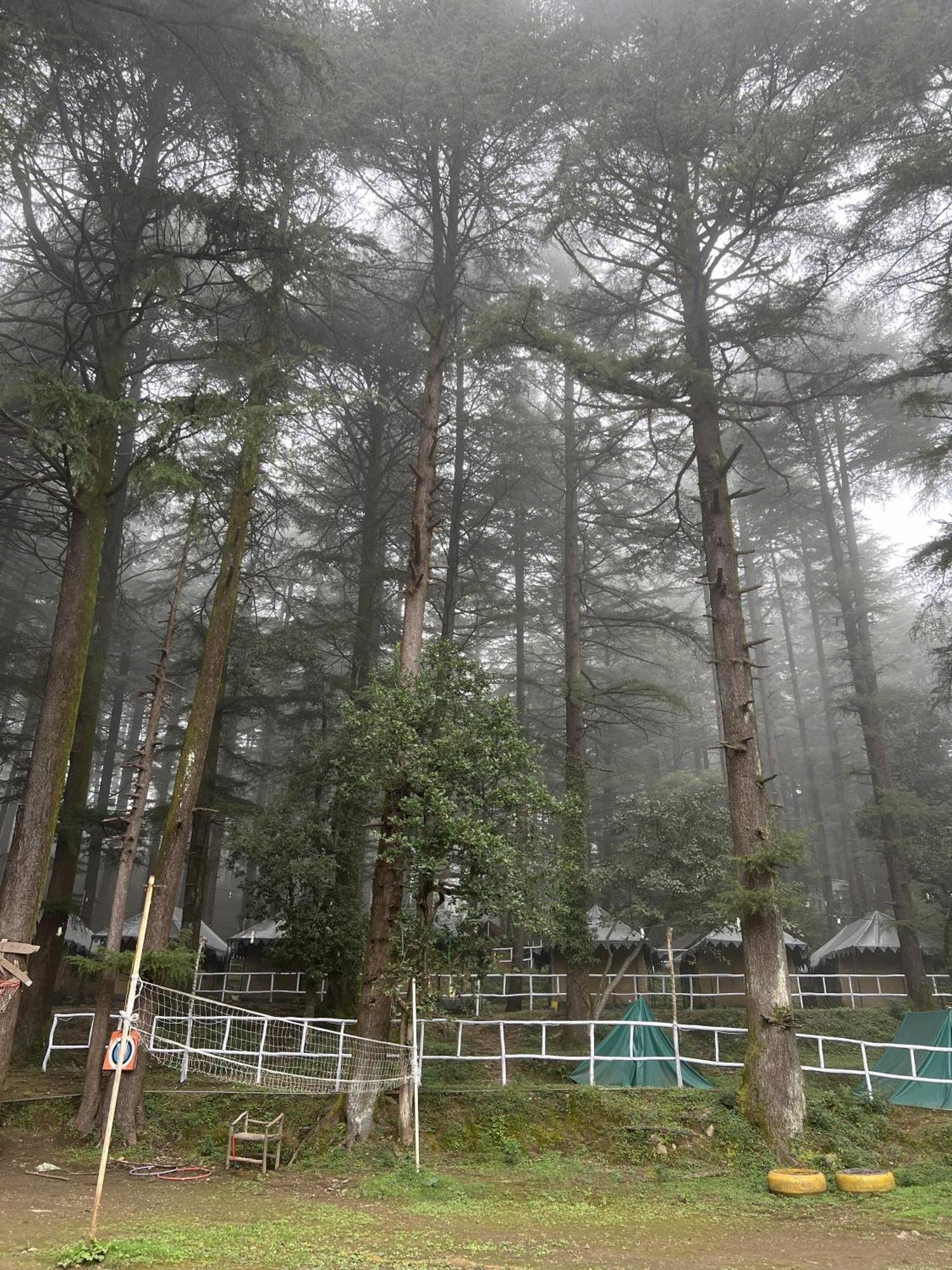 Himtrek Stays,Mcleodganj 麦罗肯机 外观 照片